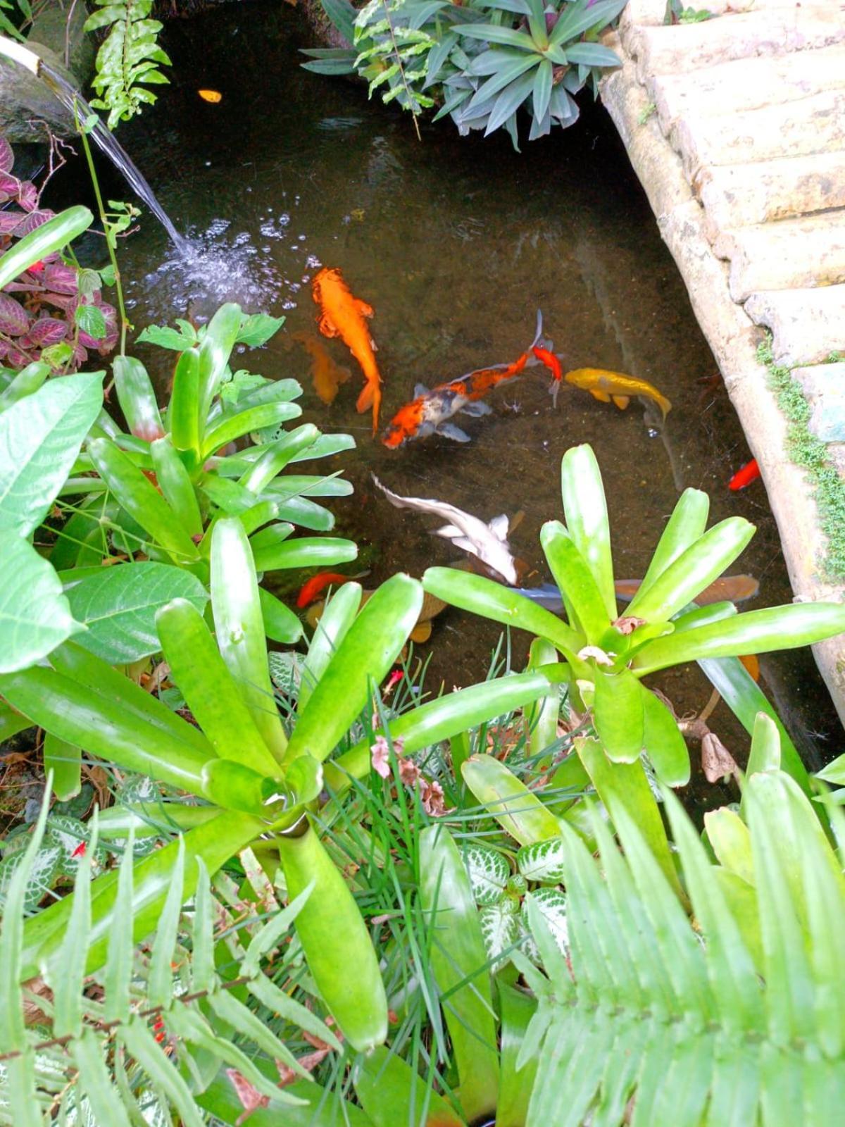 Hotel Mandala Blu Wellness Ubud Exterior foto