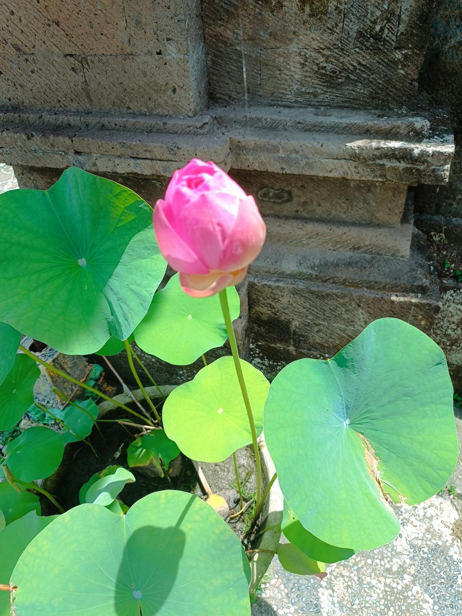 Hotel Mandala Blu Wellness Ubud Exterior foto