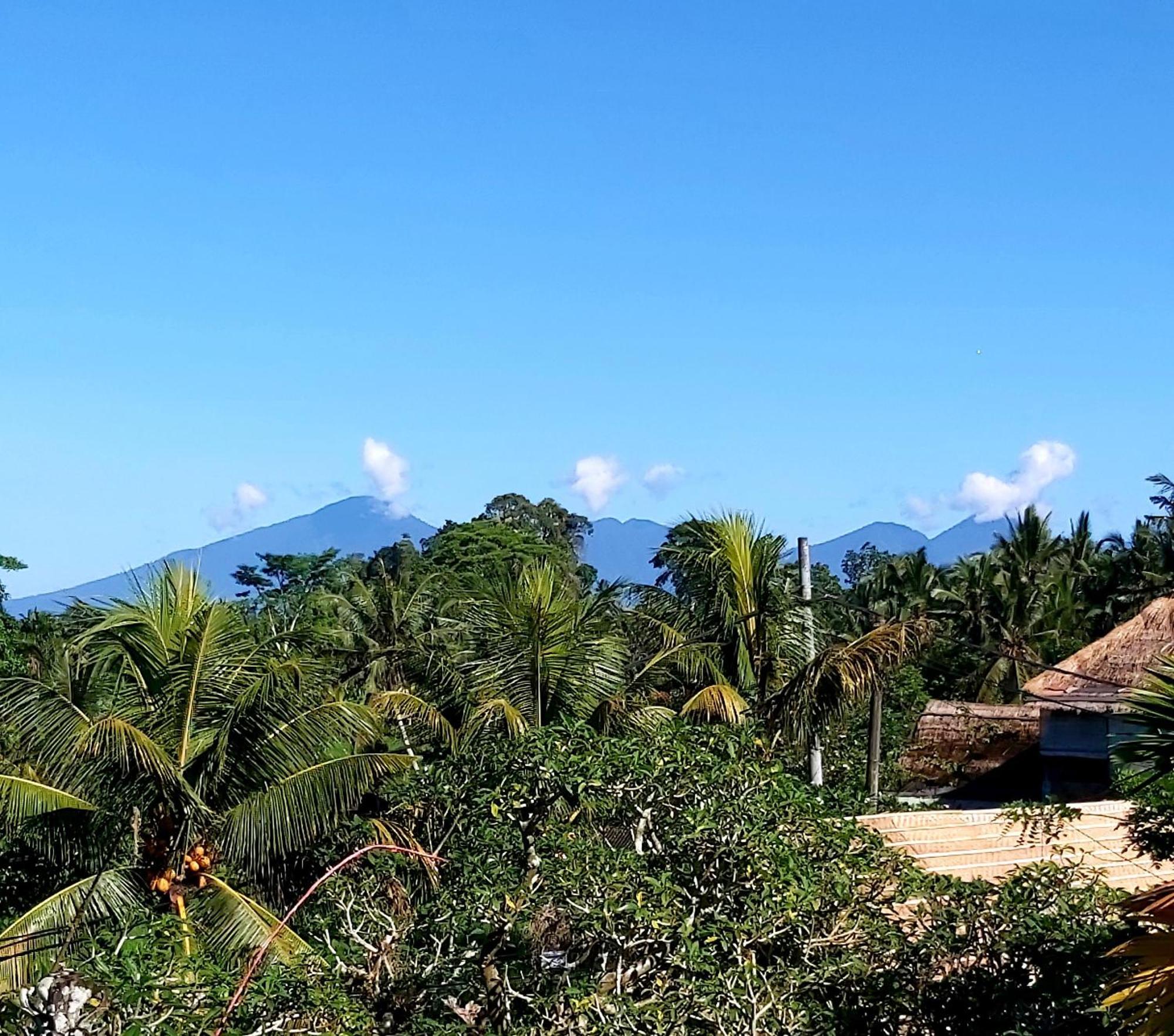 Hotel Mandala Blu Wellness Ubud Exterior foto